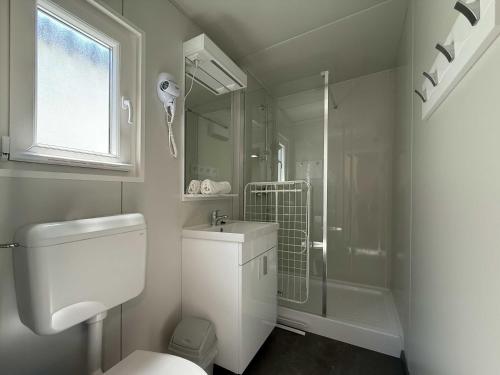 a bathroom with a toilet and a sink and a shower at Aranypart Camping & Apartments in Siófok