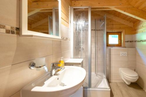 une salle de bain avec un lavabo, une douche et des toilettes dans l'établissement Wellness-Chalet am Badesee für bis zu 10 Personen, à Rieden