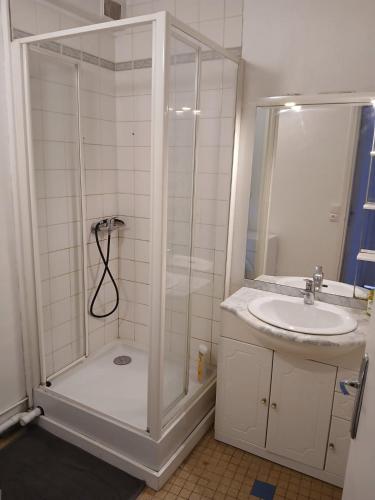 a bathroom with a shower and a sink at T2 avec terrasse privative in Le Havre