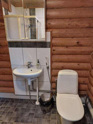 een badkamer met toilet en wastafel bij Suviranta in Jyväskylä