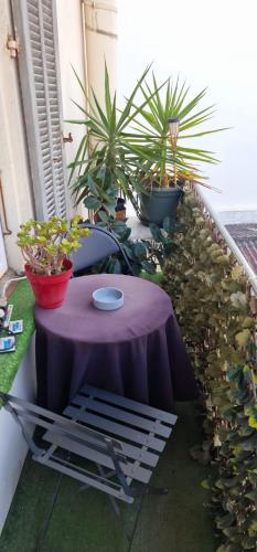 2p plein centre d'Antibes, 500m Bord de Mer