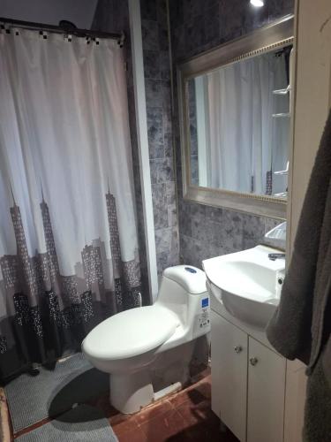 a bathroom with a toilet and a sink and a mirror at Alojamiento MI MOMMA in Osorno