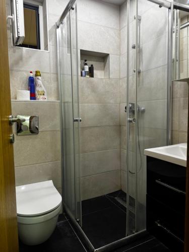 a bathroom with a shower and a toilet and a sink at Old Town 33 in Sarajevo
