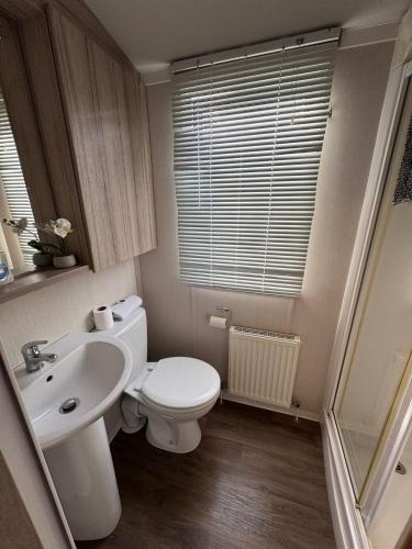 Koupelna v ubytování Luxury Seafront 3 Bedroom Caravan