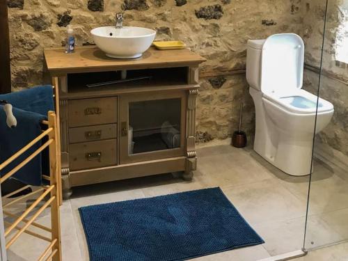 a bathroom with a sink and a toilet at Lapeyrouse Bonnet in Montmirail