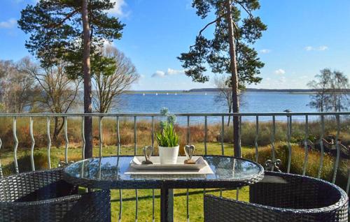 un tavolo di vetro con una pianta in vaso sopra di H7 Og a Marienfelde