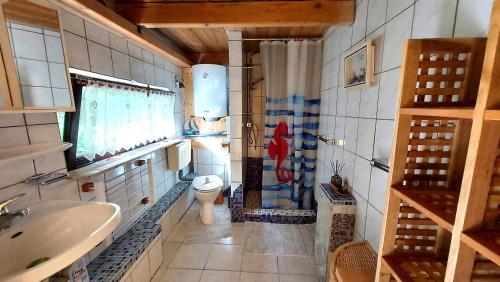 a bathroom with a toilet and a sink at Ferienhaus Julchen Samtens - mit Garten, Grillplatz, Sauna in Samtens