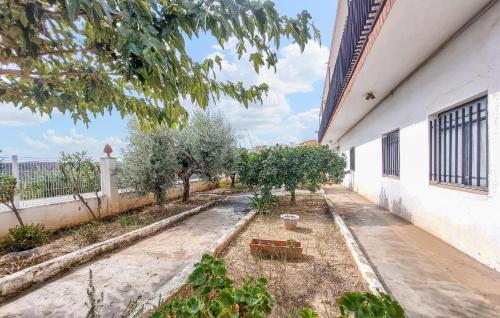 a courtyard of a building with trees and plants at Casa Traiguera in Traiguera