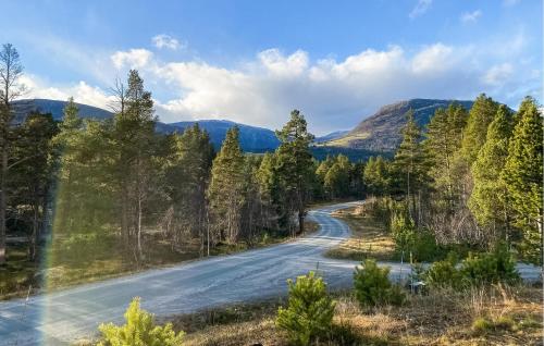 a road in a forest with mountains in the background at Pet Friendly Home In Lesjaskog With Wifi in Bjorli