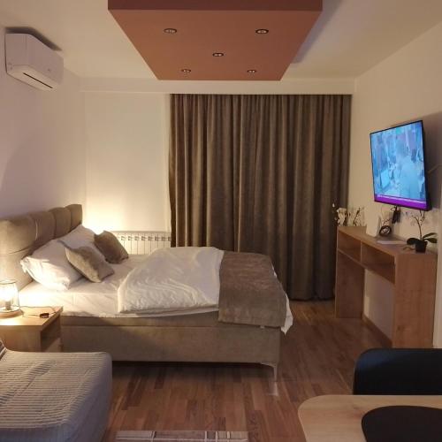 Habitación de hotel con cama y TV. en Studio DORA SS, en Stari Banovci