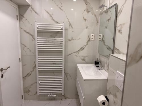 a bathroom with a shower and a sink and a mirror at Skyline WIFI Parking - Confort in Brussels