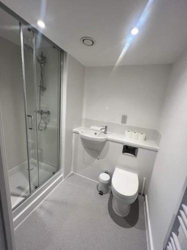 a bathroom with a shower and a toilet and a sink at Studio Flat Close to Queen Square - Flat 4B in Bristol