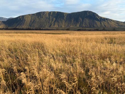 Příroda nedaleko prázdninového domu