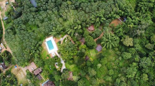 an overhead view of a house in the forest at Misty Night Wayanad Pool Resort in Wayanad