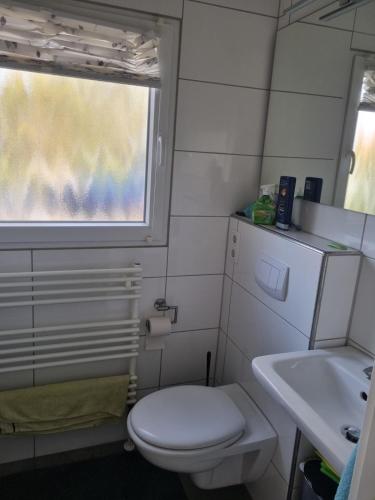 a small bathroom with a toilet and a sink at Ferienhaus Drossel am Teutoburgerwald in Lage