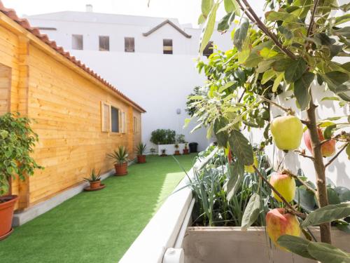 Gallery image of Live Villa Adrian in Caleta de Interián