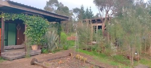 Κήπος έξω από το Sixty Six