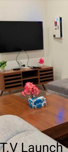 TV a/nebo společenská místnost v ubytování Premier choices