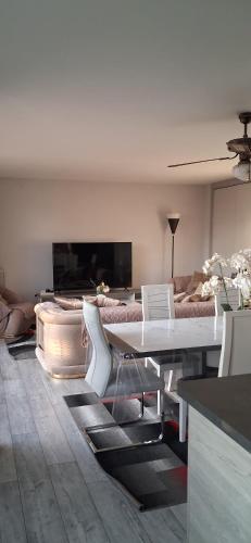 Large and superb apartment near Paris
