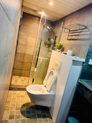 a bathroom with a toilet and a shower at Coastal Calm The Cove 2 in Flic-en-Flac