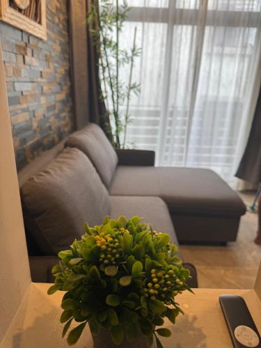 フリック・アン・フラックにあるCoastal Calm The Cove 2のギャラリーの写真