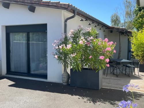 Κήπος έξω από το Gujan-Mestras Chez Flo maison 4 places la hume