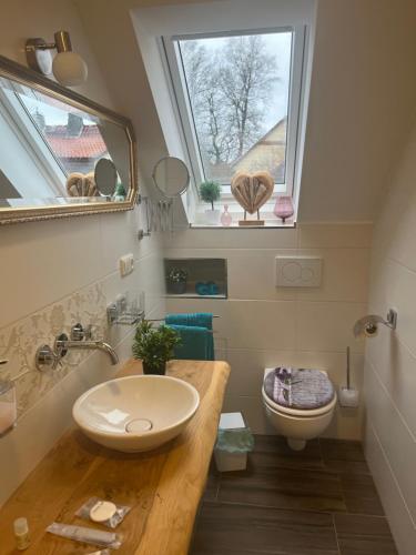 a bathroom with a sink and a toilet and a window at Gasthaus Hecker Hof in Bad Salzungen