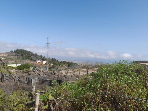 un grupo de pájaros posados en la cima de una colina en Casa Carla, en Granadilla de Abona