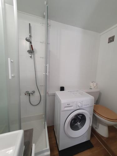 a bathroom with a washing machine and a toilet at Cozy studio with private garden and separate entrance in Villeneuve-Loubet