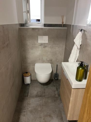 a bathroom with a toilet and a sink at Haus am Fischteich in Feistritz ob Bleiburg