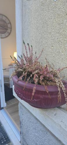 a potted plant sitting on the side of a building at Bivar Urban Retreat in Lisbon