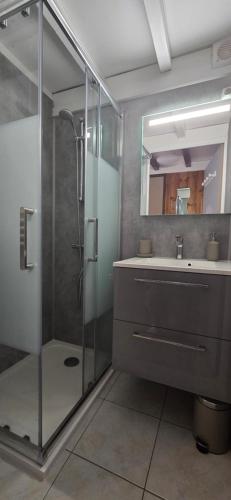 a bathroom with a glass shower and a sink at Chalet du Feignole in Gerbépal