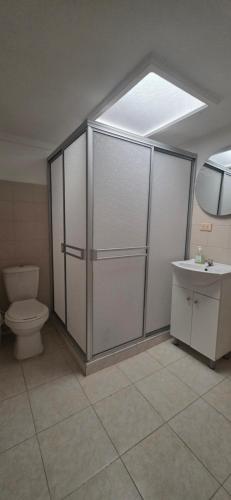 a bathroom with a toilet and a sink at Aparto hotel del centro in Filandia