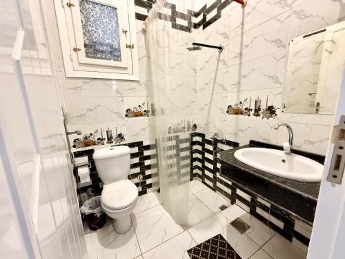 a white bathroom with a toilet and a sink at Nile View House in Luxor
