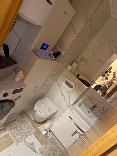 een eigen badkamer met een toilet bij Apartman Teodora in Donje Mladice