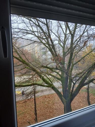 Φυσικό τοπίο κοντά σε αυτό το διαμέρισμα