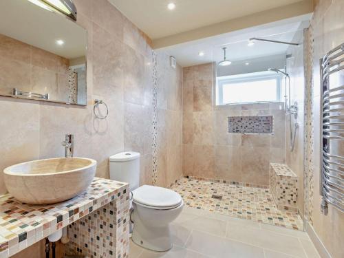 West Camelにある1 Bed in Castle Cary POLOCの洗面台、トイレ、シャワー付きのバスルーム