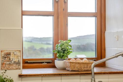 a kitchen window with a basket of eggs and a plant at 3 Bed in Whitwell oc-h33498 in Whitwell