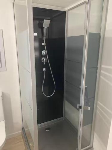 a shower with a blow dryer in a bathroom at Chalet D'Mar in Wenduine