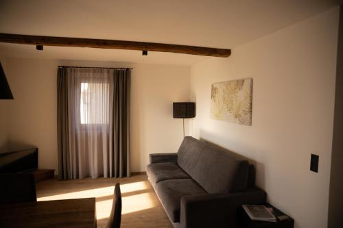 シェーナにあるAntonya Apartmentsのソファと窓のあるリビングルーム