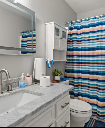 a bathroom with a sink and a toilet and a shower curtain at Gladelle in South Saint Paul