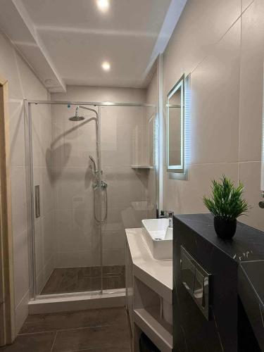 a bathroom with a shower and a sink at Apartament Zefir in Busko-Zdrój