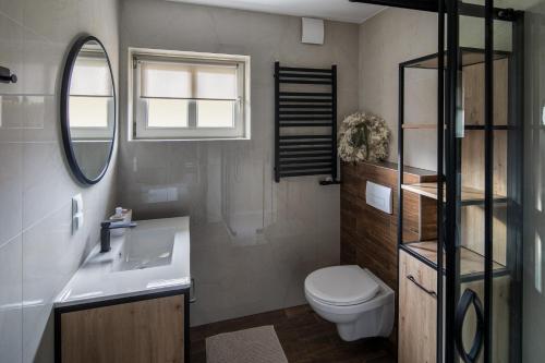 a bathroom with a toilet and a sink and a mirror at Magdalenka 5 min pieszo od Kotelnicy in Białka Tatrzanska