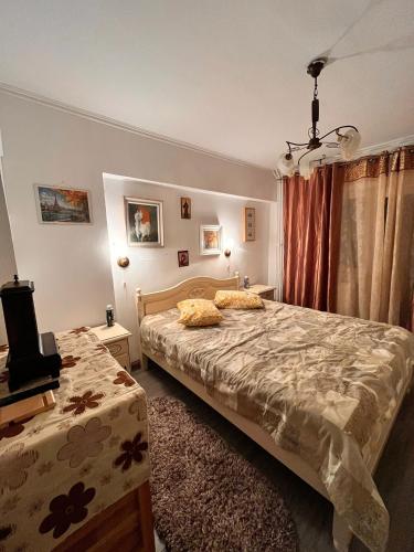 a bedroom with two beds and a television in it at Cip-Apartament24 in Iaşi