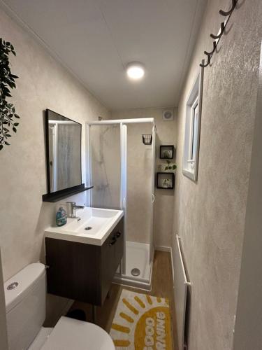 ein Badezimmer mit Waschbecken, Dusche und Toilette in der Unterkunft Fijne caravan midden in de bossen van de Veluwe in Hoenderloo