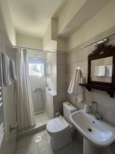 een badkamer met toilet, douche en wastafel bij Guesthouse Filokalia in Portariá
