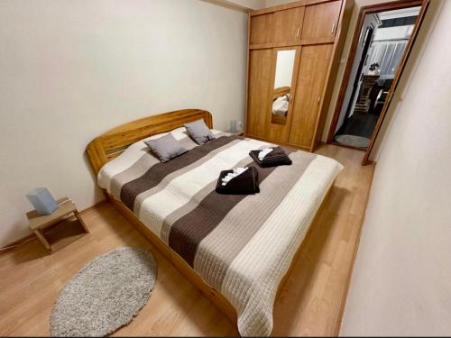 een slaapkamer met een groot bed in een kamer bij Zenora Apartman in Makó