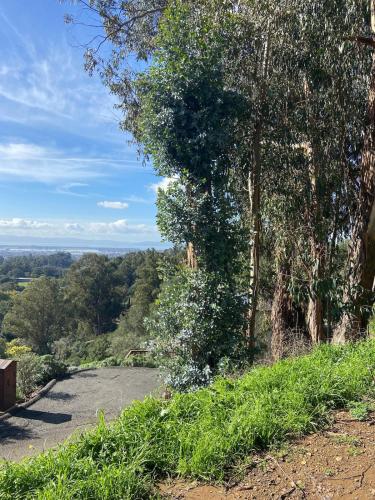 a road with trees on the side of a hill at Private Oakland Hills Guest Apartment in Oakland