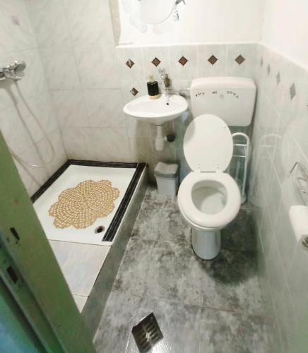 a bathroom with a toilet and a sink at Heli budget condo in Rijeka