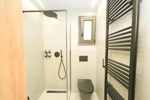 Stylish studio apartment with private yard في تريكالا: حمام مع دش ومرحاض